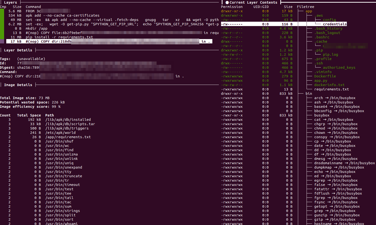 Docker layer with credentials opened in the dive layer inspector